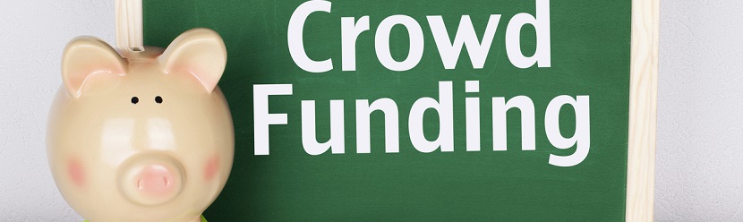  Concept du Crowdfunding