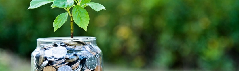 Finances d'activités saisonnières 