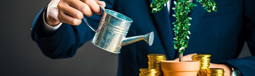  Un professionnel en gestion des finances d'entreprise
