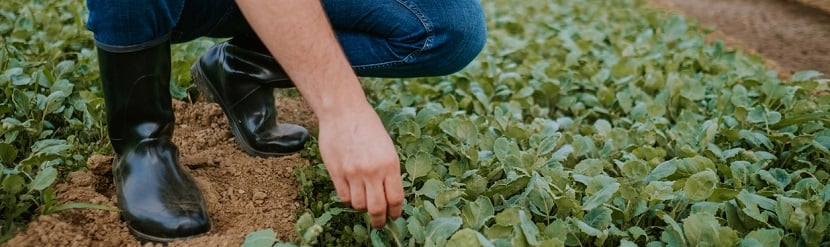 un agriculteur au travail