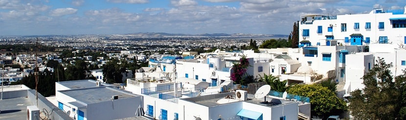 paysage tunisien