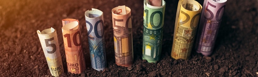 Billets euros sur un terrain d'agriculture