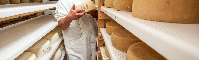 Portrait de l'homme aîné fier retenant une roue de fromage