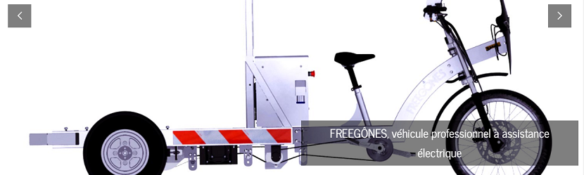 Capture du site Freegone 