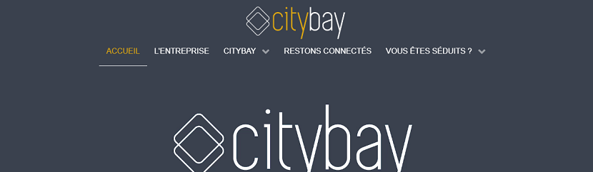 capture ecran du site Citybay