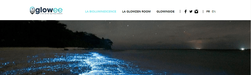 capture ecran du site Glowee