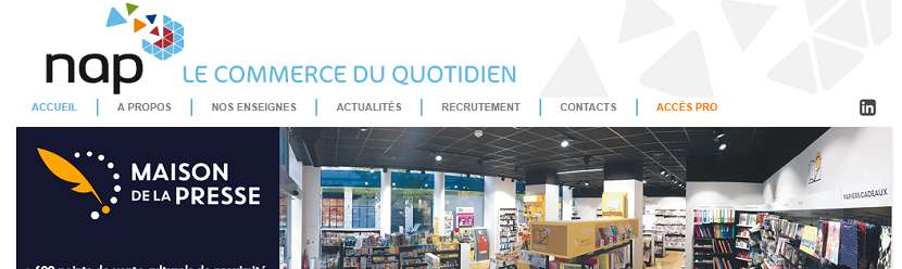 capture ecran du site Groupe Nap