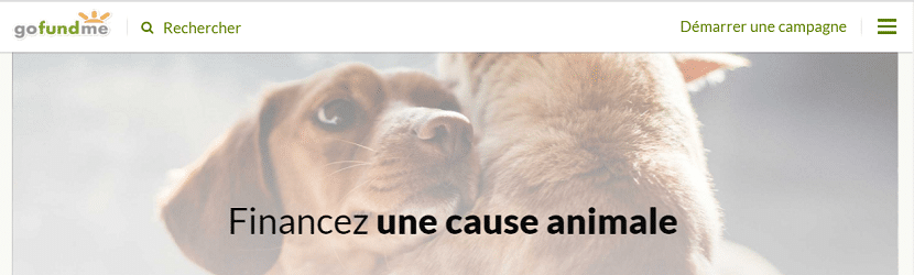 Capture du site Gofundme 