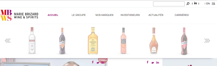 capture ecran du site Marie Brizard Wine & Spirits