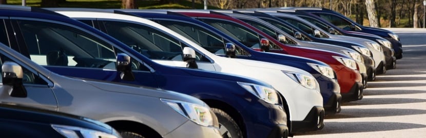 Large choix de vehicule pour sa flotte automobile